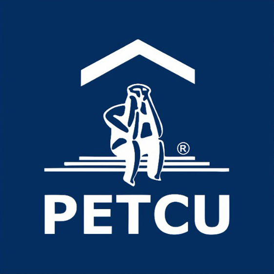 PETCU CONSTRUCT