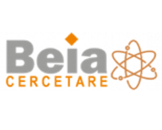 BEIA Consult International SRL
